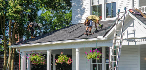 Best Roof Replacement  in Inez, TX